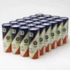 Wilson Roland Garros Har Tru Clay Court 24 Cans